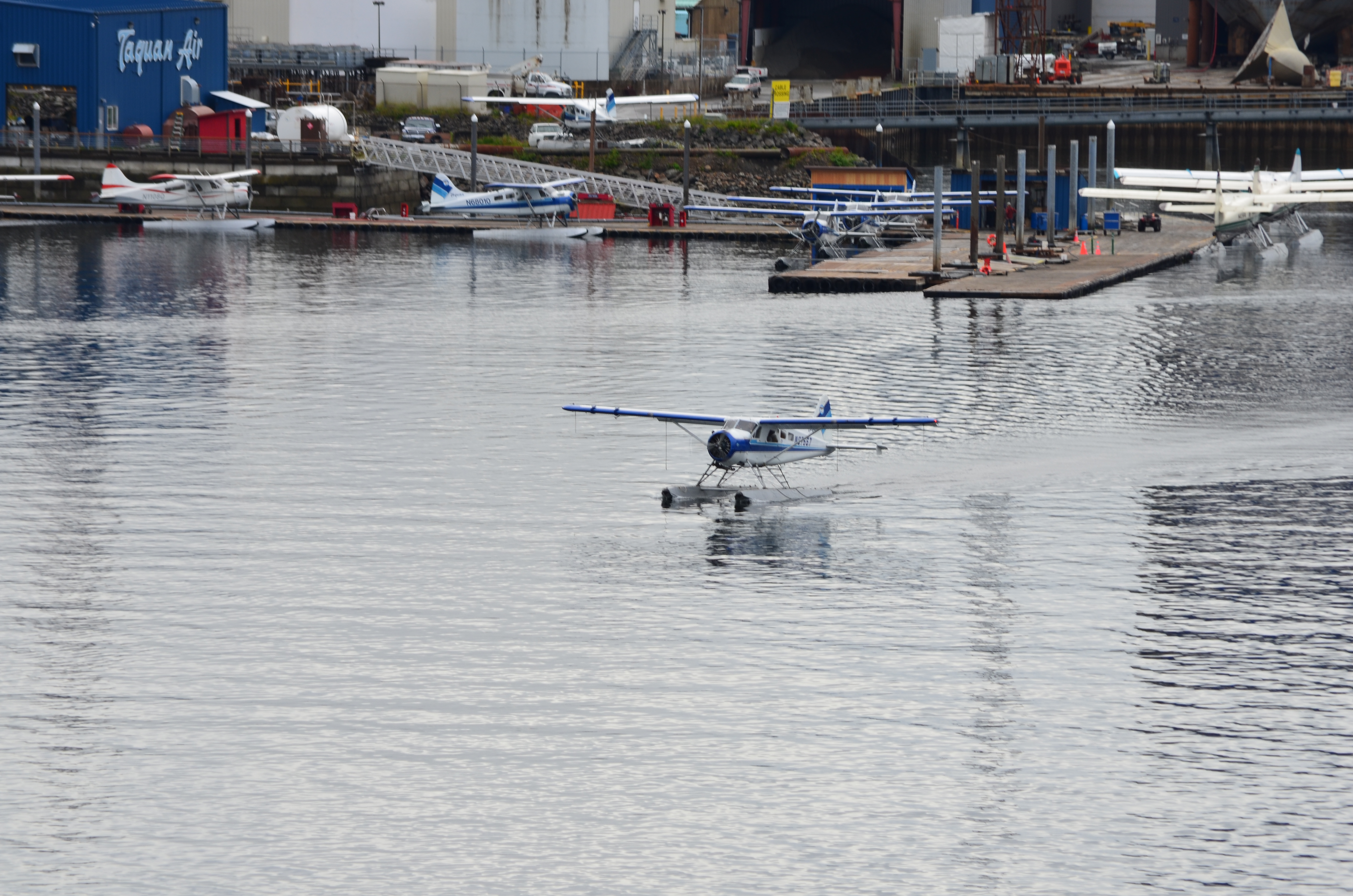 ./2017/08 - Alaska Cruise/11 - Ketchikan/DSC_0413.JPG
